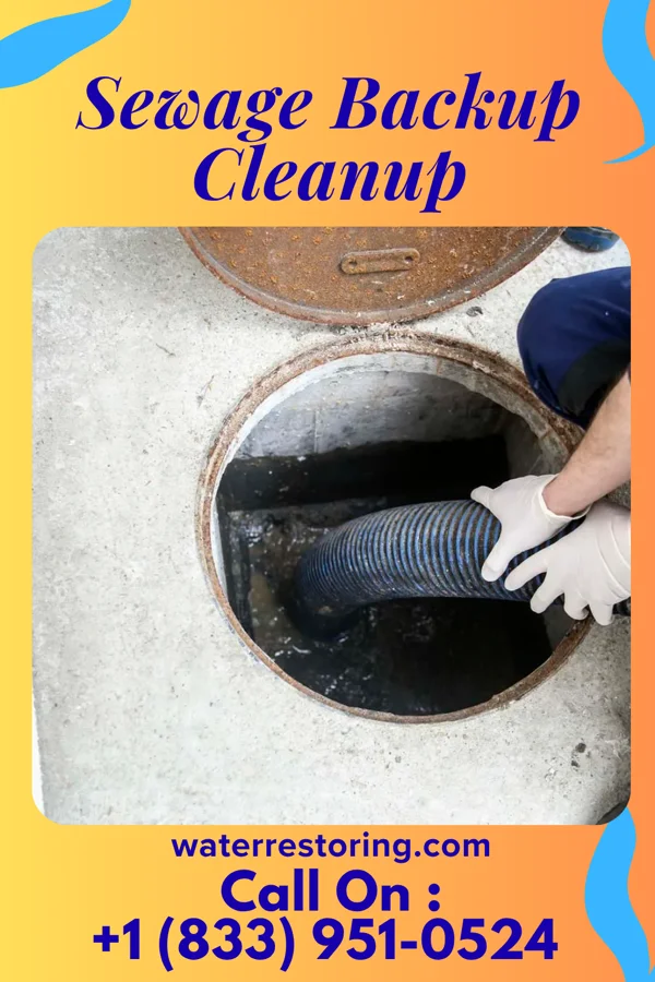 Sewage Backup Cleanup in Roberts, WI